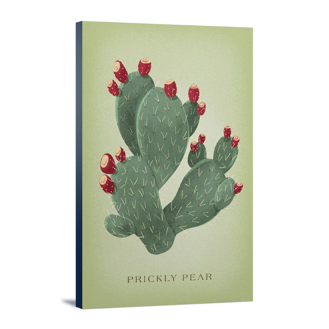 Prickly Pear, Vintage Flora, Lantern Press Artwork, Stretched Canvas Canvas Lantern Press 12x18 Stretched Canvas 
