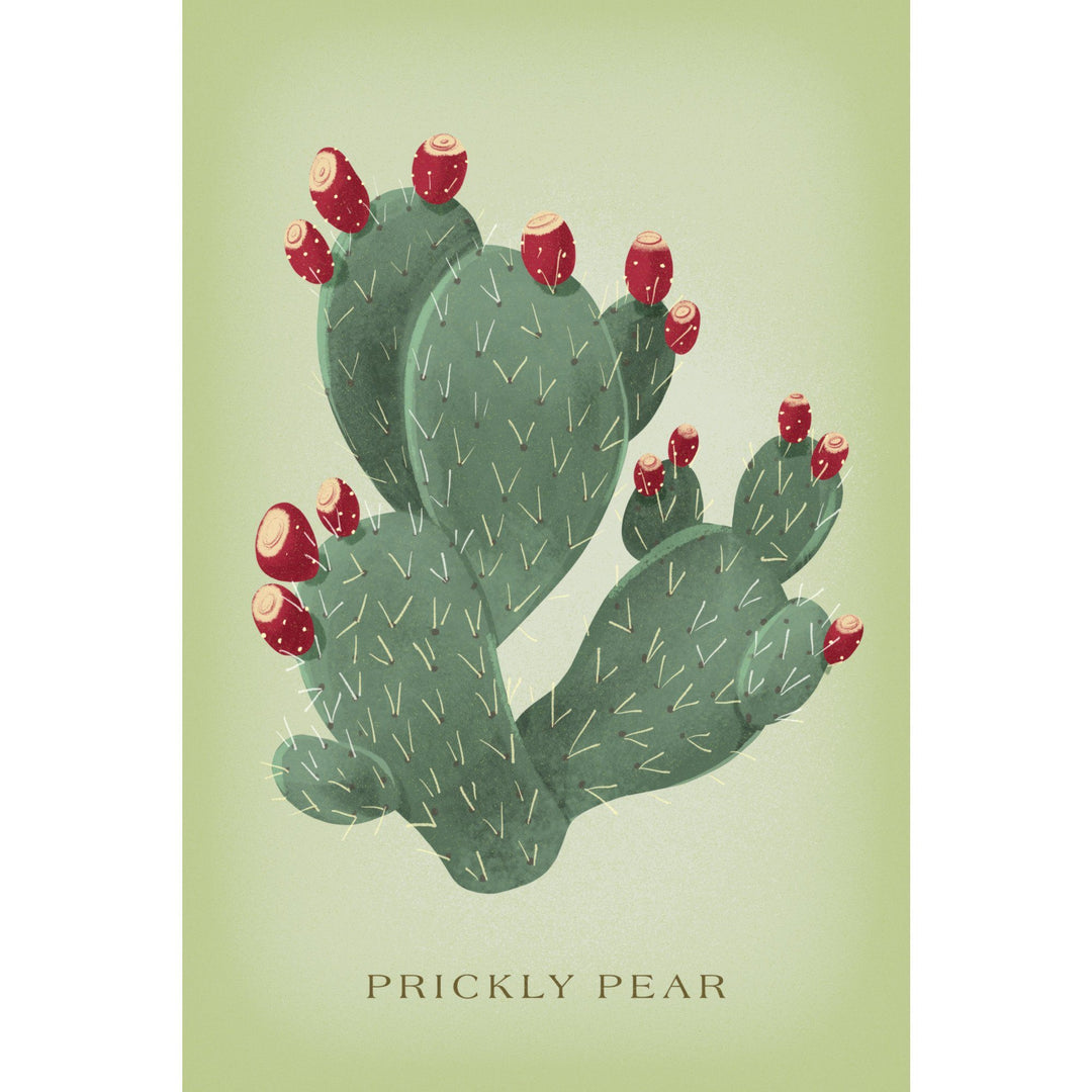 Prickly Pear, Vintage Flora, Lantern Press Artwork, Stretched Canvas Canvas Lantern Press 