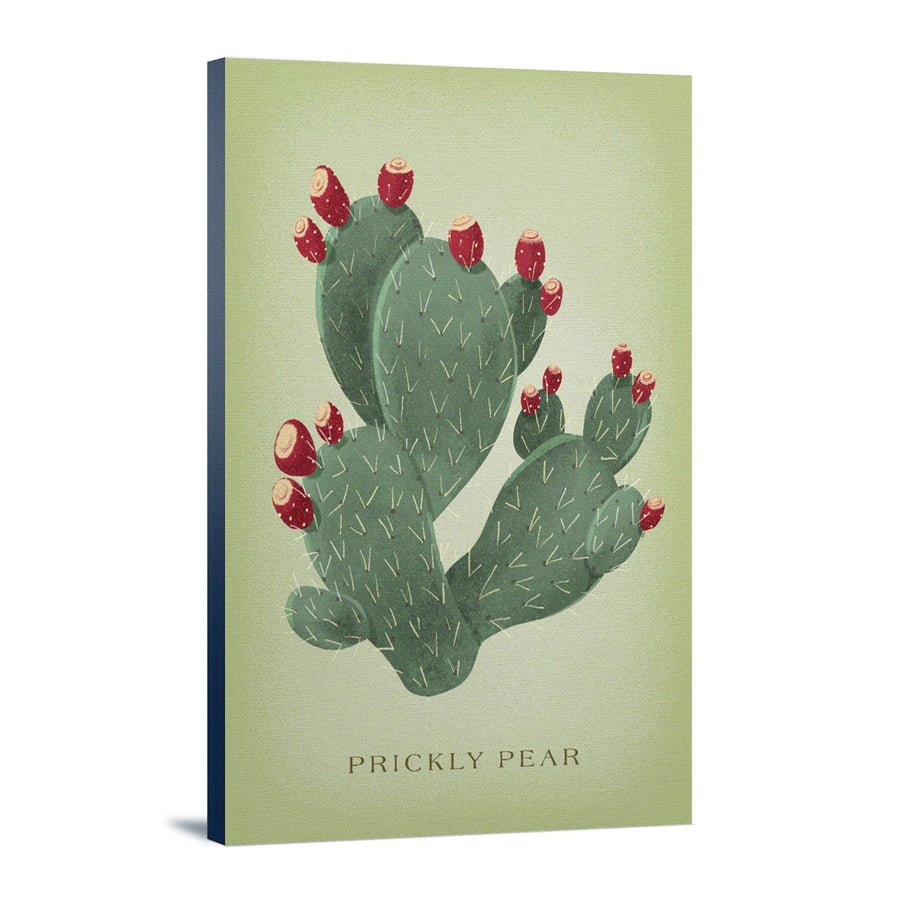 Prickly Pear, Vintage Flora, Lantern Press Artwork, Stretched Canvas Canvas Lantern Press 