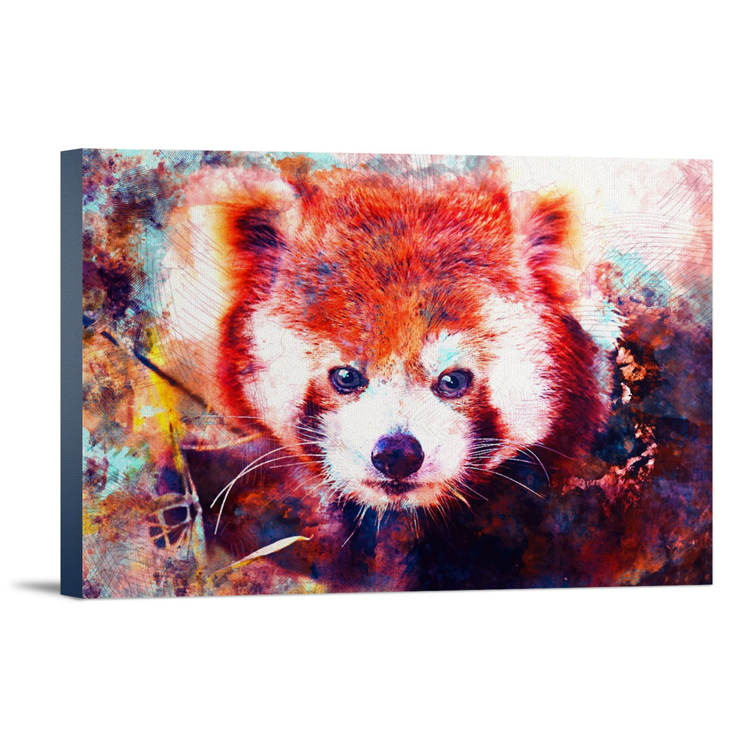 Red Panda, Vibrant Watercolor, Lantern Press Artwork, Stretched Canvas Canvas Lantern Press 12x18 Stretched Canvas 