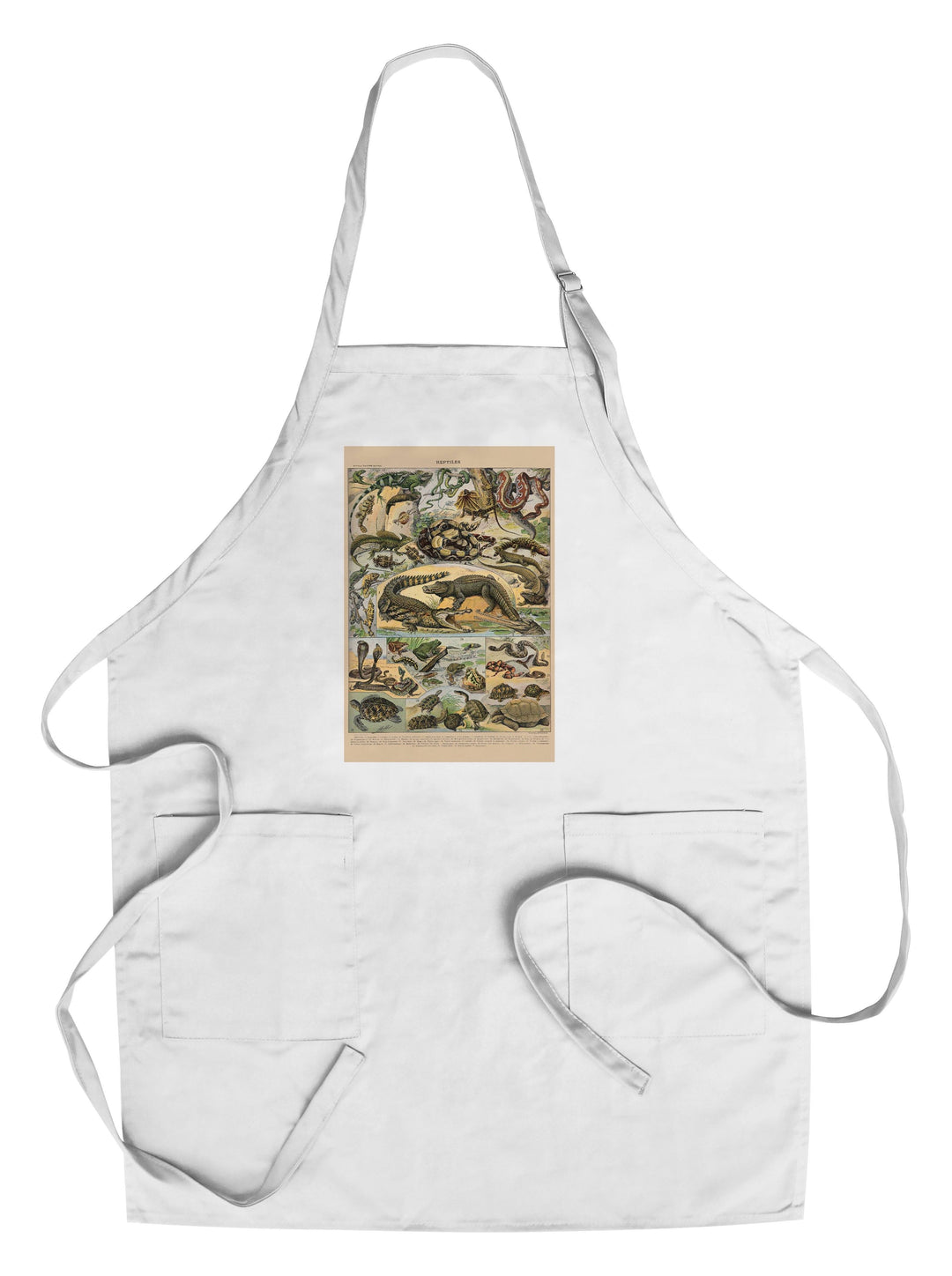 Reptiles, A, Vintage Bookplate, Adolphe Millot Artwork, Towels and Aprons Kitchen Lantern Press Chef's Apron 