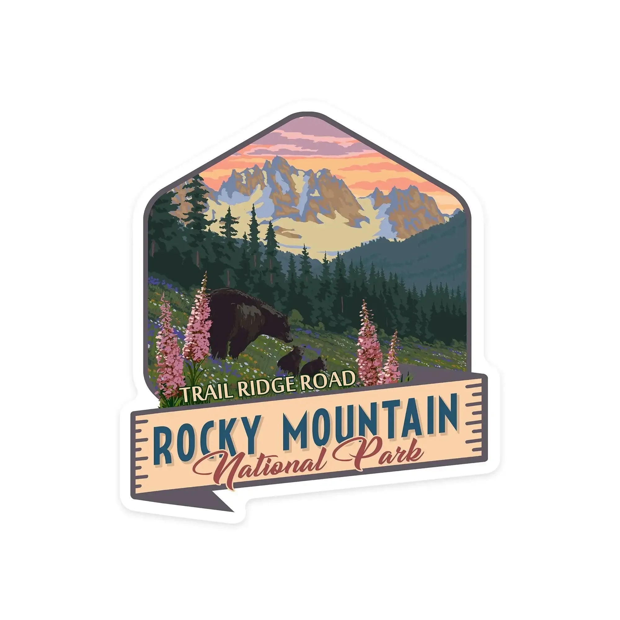 STANDARD CALIFORNIA × Rocky Mountain Rocky Mountain National Park, Colorado, Trail Ridge Rd, Bear