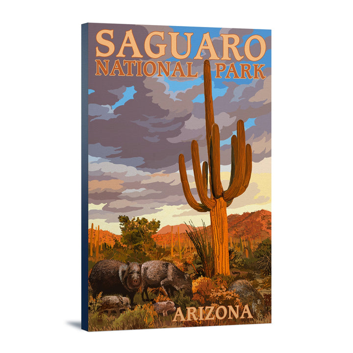 Saguaro National Park, Javelina, Lantern Press Artwork, Stretched Canvas Canvas Lantern Press 16 x 24 Gallery Canvas 