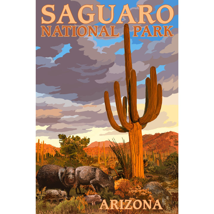 Saguaro National Park, Javelina, Lantern Press Artwork, Stretched Canvas Canvas Lantern Press 