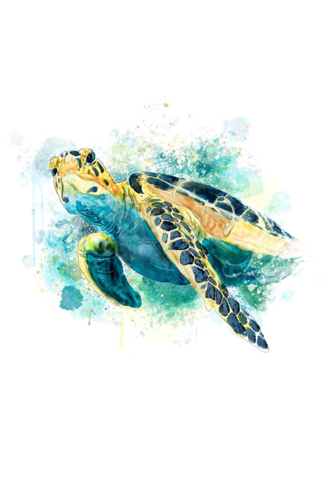 Sea Turtle, Watercolor, Lantern Press Artwork, Art Prints and Metal Signs Art Lantern Press 12 x 18 Art Print 