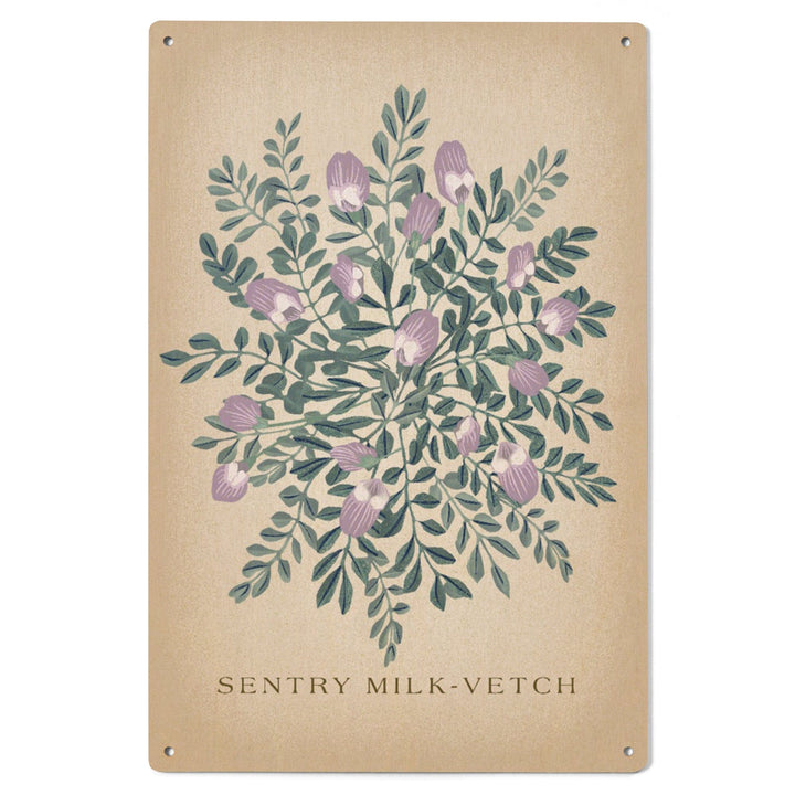Sentry Milk-Vetch, Vintage Flora, Lantern Press Artwork, Wood Signs and Postcards Wood Lantern Press 