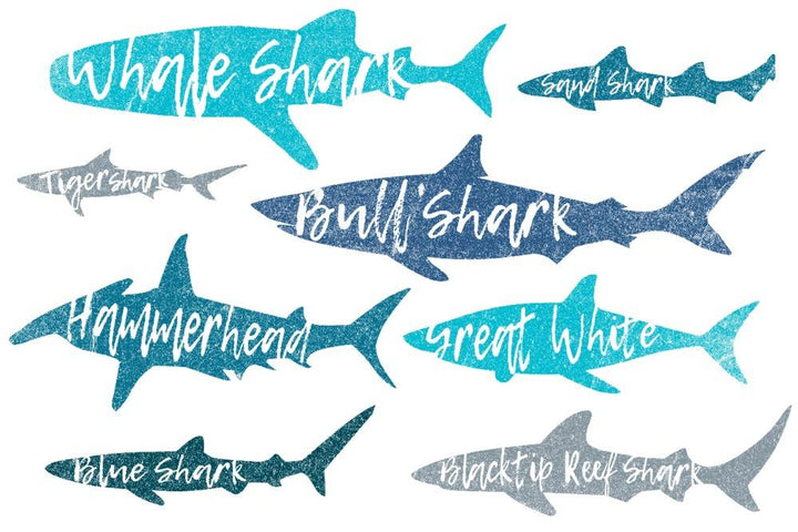Sharks, Pattern, Shark Names, Lantern Press Artwork, Art Prints and Metal Signs Art Lantern Press 12 x 18 Art Print 