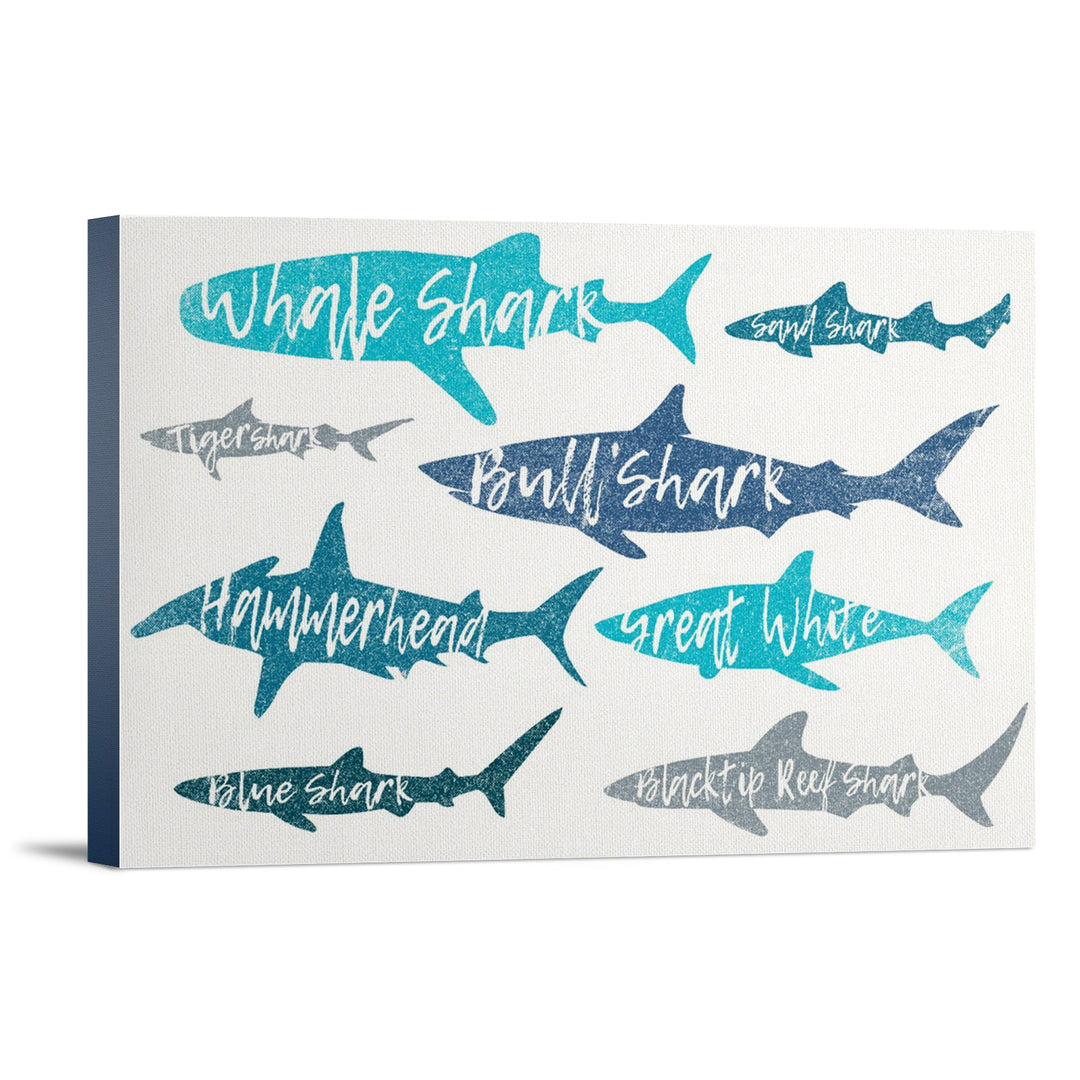 Sharks, Pattern, Shark Names, Lantern Press Artwork, Stretched Canvas Canvas Lantern Press 12x18 Stretched Canvas 