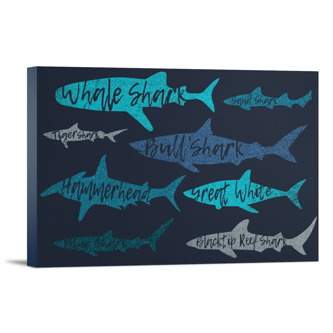 Sharks Pattern, Shark Names, Navy Background, Lantern Press Artwork, Stretched Canvas Canvas Lantern Press 12x18 Stretched Canvas 