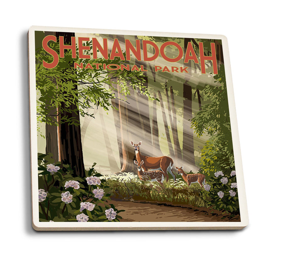 Shenandoah National Park, Virginia, Deer & Fawns, Lantern Press Artwork, Coaster Set Coasters Lantern Press 