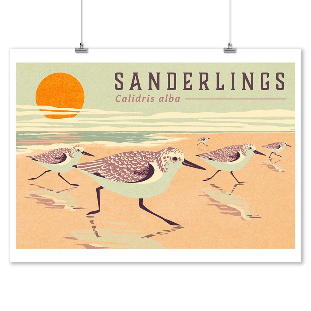 Shorebirds at Sunset Collection, Sanderlings, Birds, Art Prints and Metal Signs Art Lantern Press 12 x 18 Art Print 