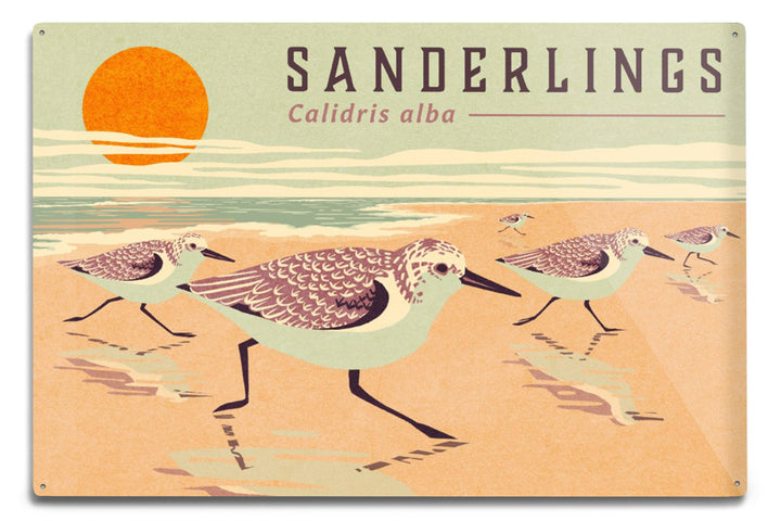 Shorebirds at Sunset Collection, Sanderlings, Birds, Art Prints and Metal Signs Art Lantern Press 8 x 12 Art Print 