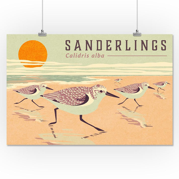Shorebirds at Sunset Collection, Sanderlings, Birds, Art Prints and Metal Signs Art Lantern Press 16 x 24 Giclee Print 