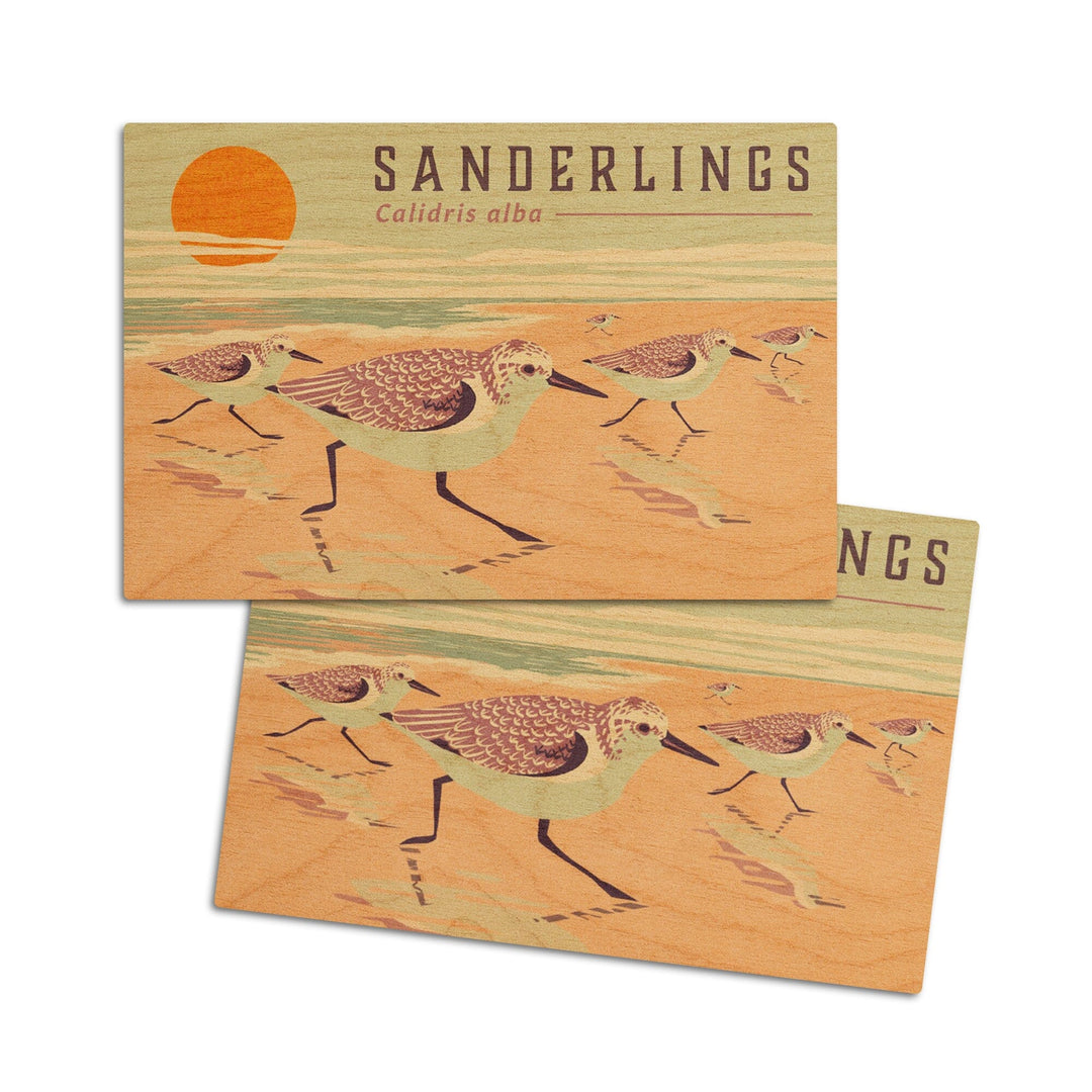 Shorebirds at Sunset Collection, Sanderlings, Birds, Wood Signs and Postcards Wood Lantern Press 4x6 Wood Postcard Set 