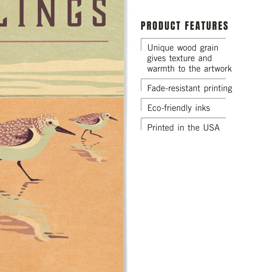 Shorebirds at Sunset Collection, Sanderlings, Birds, Wood Signs and Postcards Wood Lantern Press 