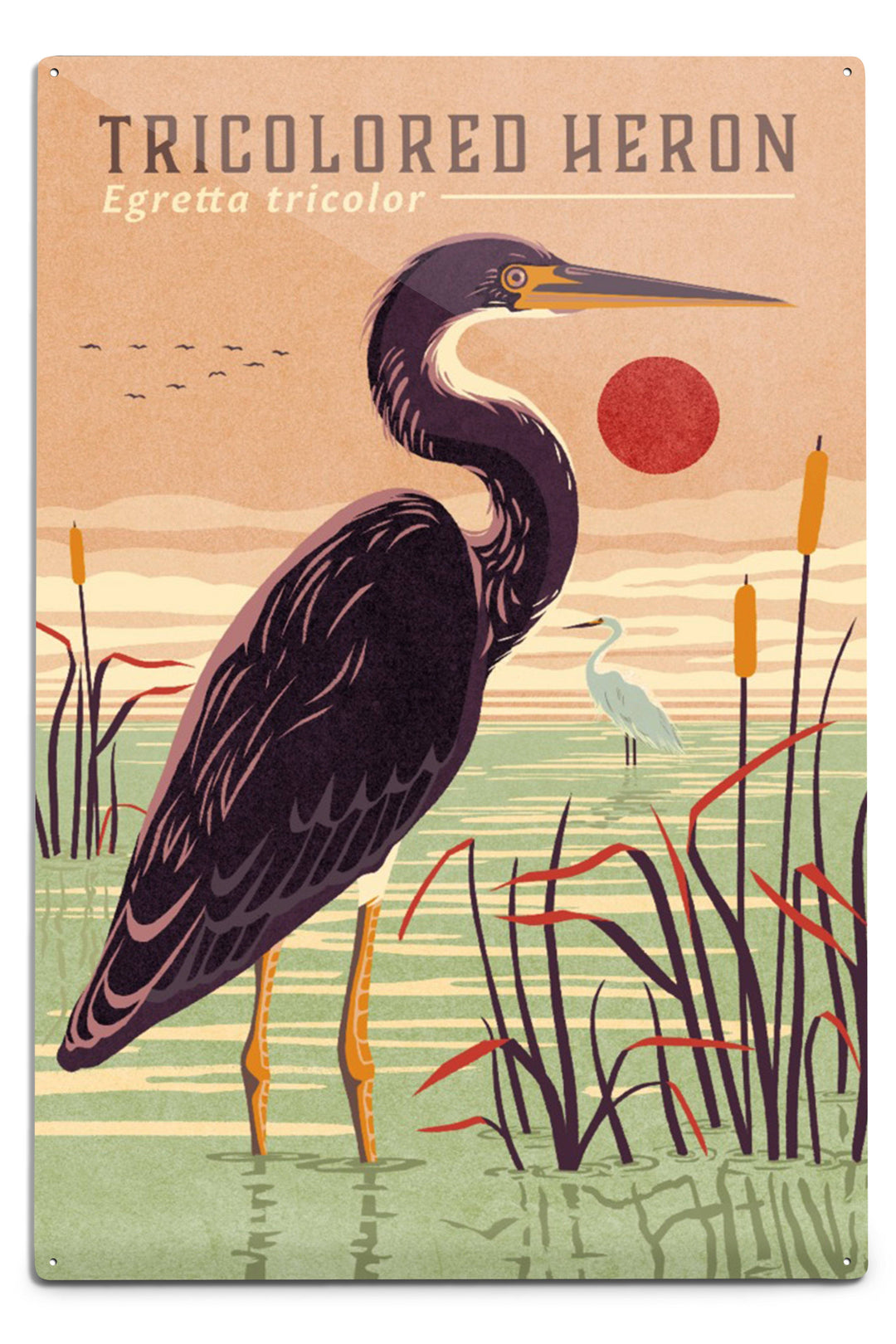 Shorebirds at Sunset Collection, Tricolored Heron, Bird, Art Prints and Metal Signs Art Lantern Press 8 x 12 Art Print 