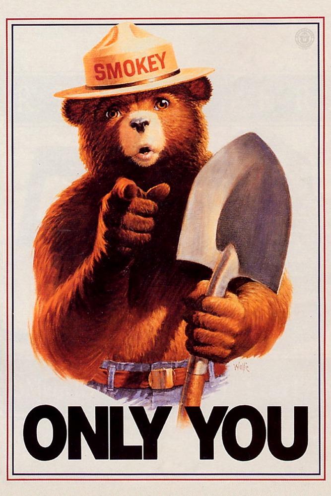 Smokey Bear, Only You, Vintage Poster, Art Prints and Metal Signs Art Lantern Press 12 x 18 Art Print 