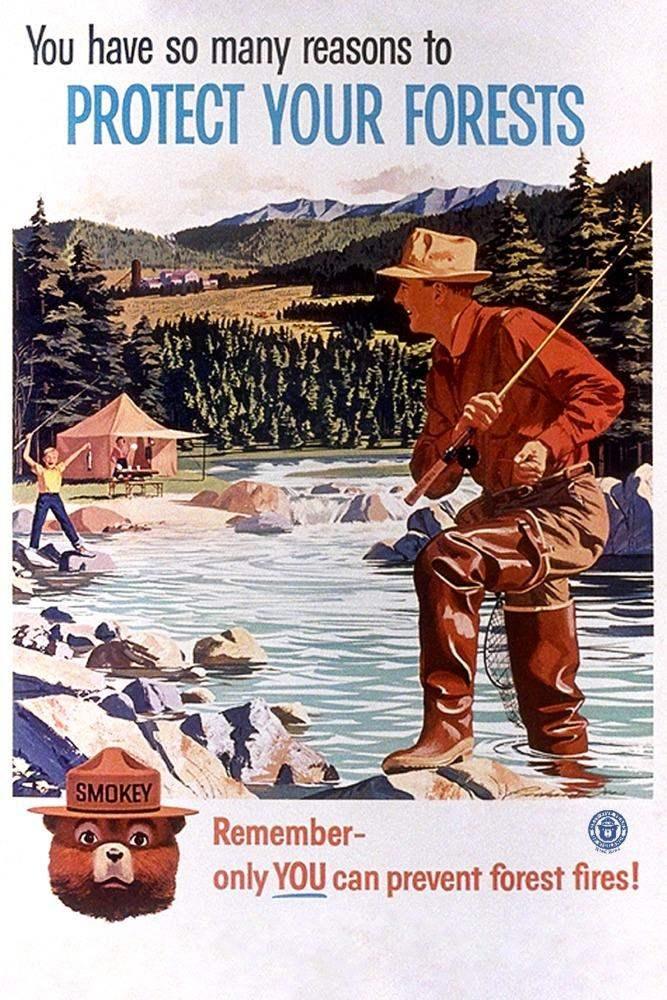 Vintage Look Smokey Bear Metal Tin Sign – 'The Forest' Retro Decor, 12x8 Inches, Multicolor