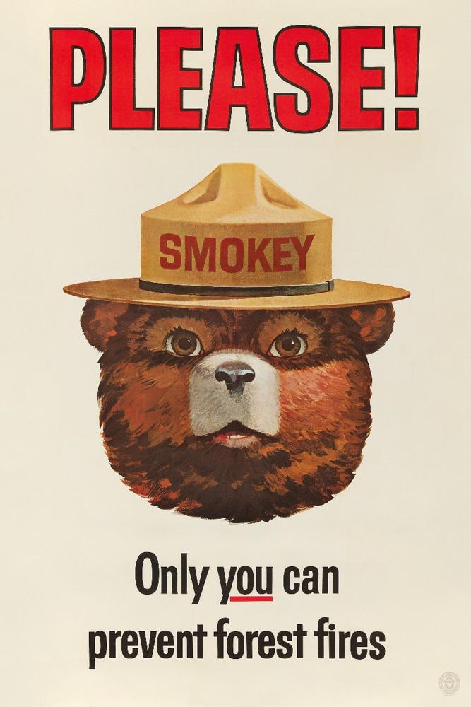 Smokey Bear Vintage Poster, Only You Can Prevent Forest Fires, Art Prints and Metal Signs Art Lantern Press 9 x 12 Art Print 