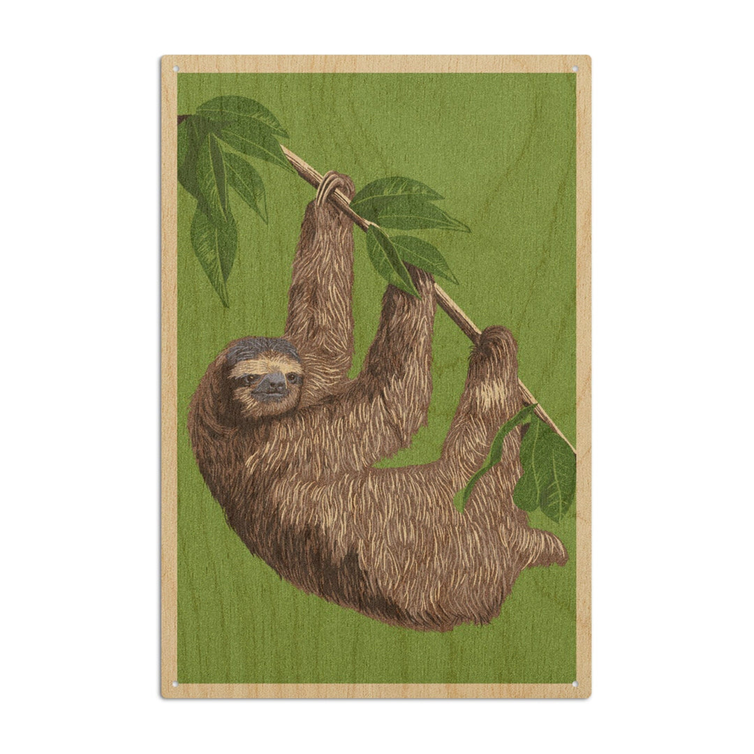 Three Toed Sloth, Letterpress, Lantern Press Artwork, Wood Signs and Postcards Wood Lantern Press 10 x 15 Wood Sign 