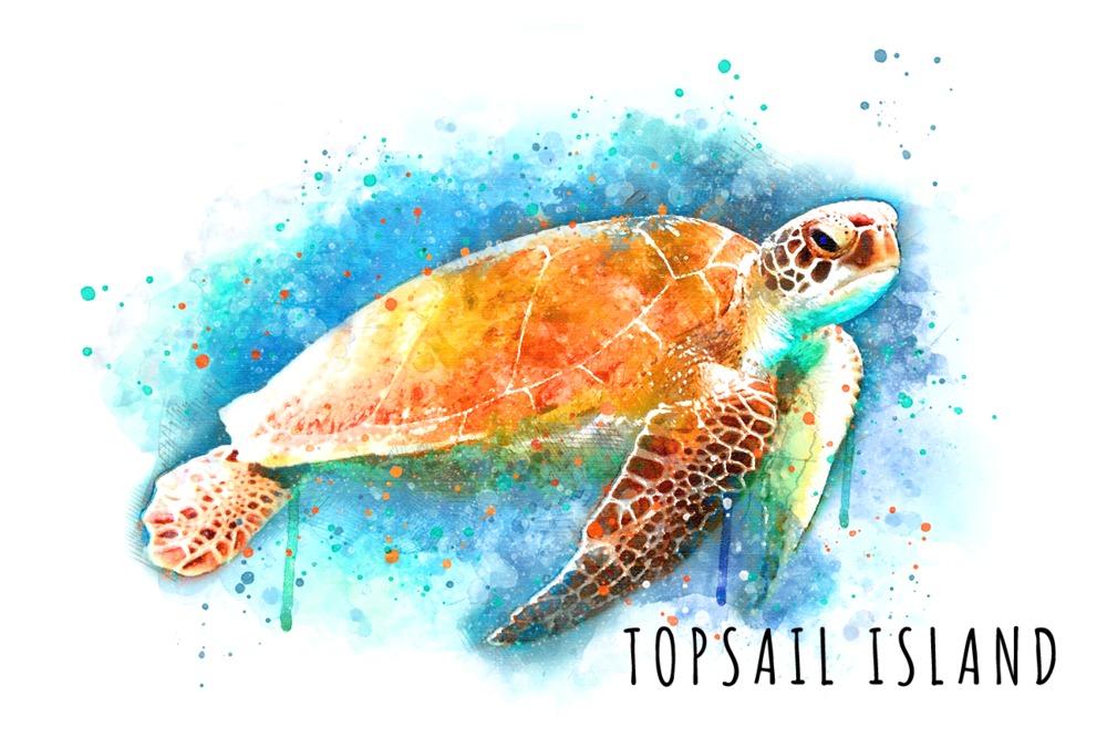 Topsail Island, North Carolina, Sea Turtle, Watercolor, Lantern Press Artwork, Art Prints and Metal Signs Art Lantern Press 12 x 18 Art Print 