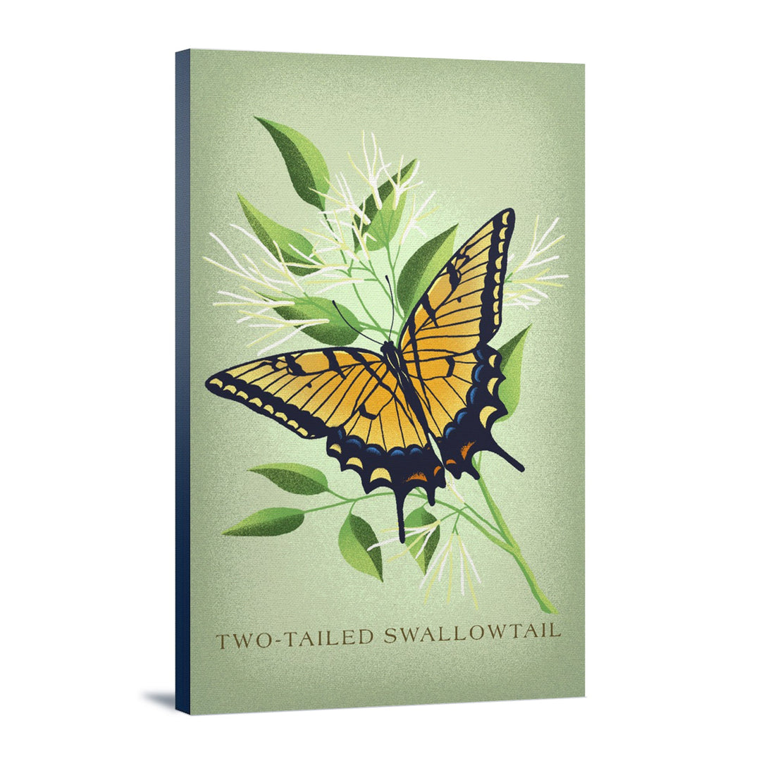 Two-Tailed Swallowtail, Vintage Flora, Lantern Press Artwork, Stretched Canvas Canvas Lantern Press 24x36 Stretched Canvas 