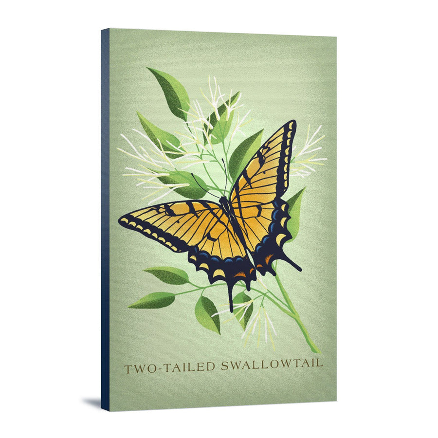 Two-Tailed Swallowtail, Vintage Flora, Lantern Press Artwork, Stretched Canvas Canvas Lantern Press 