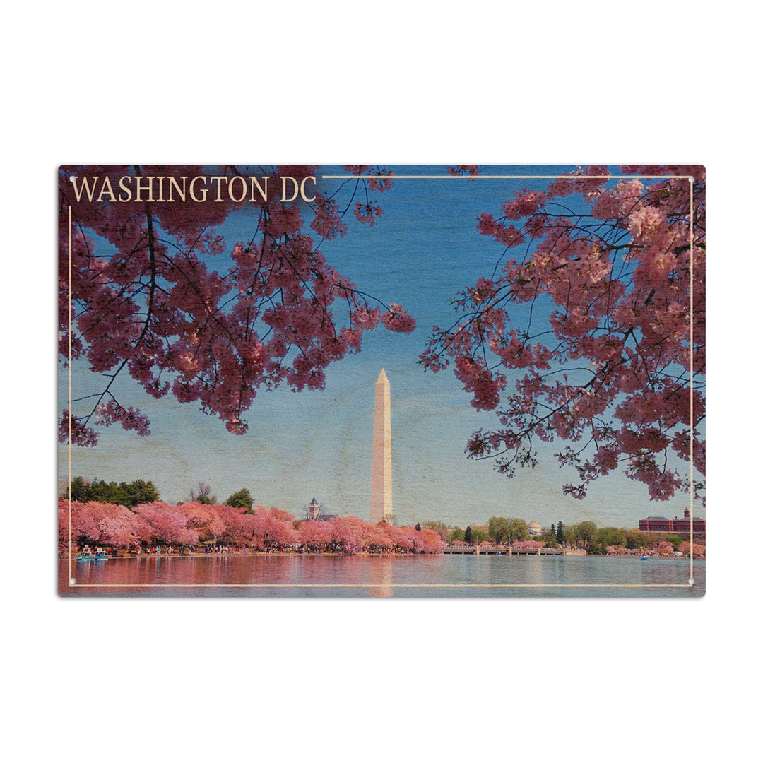 Washington Monument & Cherry Blossoms, Washington DC, Lantern Press Photography, Wood Signs and Postcards Wood Lantern Press 10 x 15 Wood Sign 