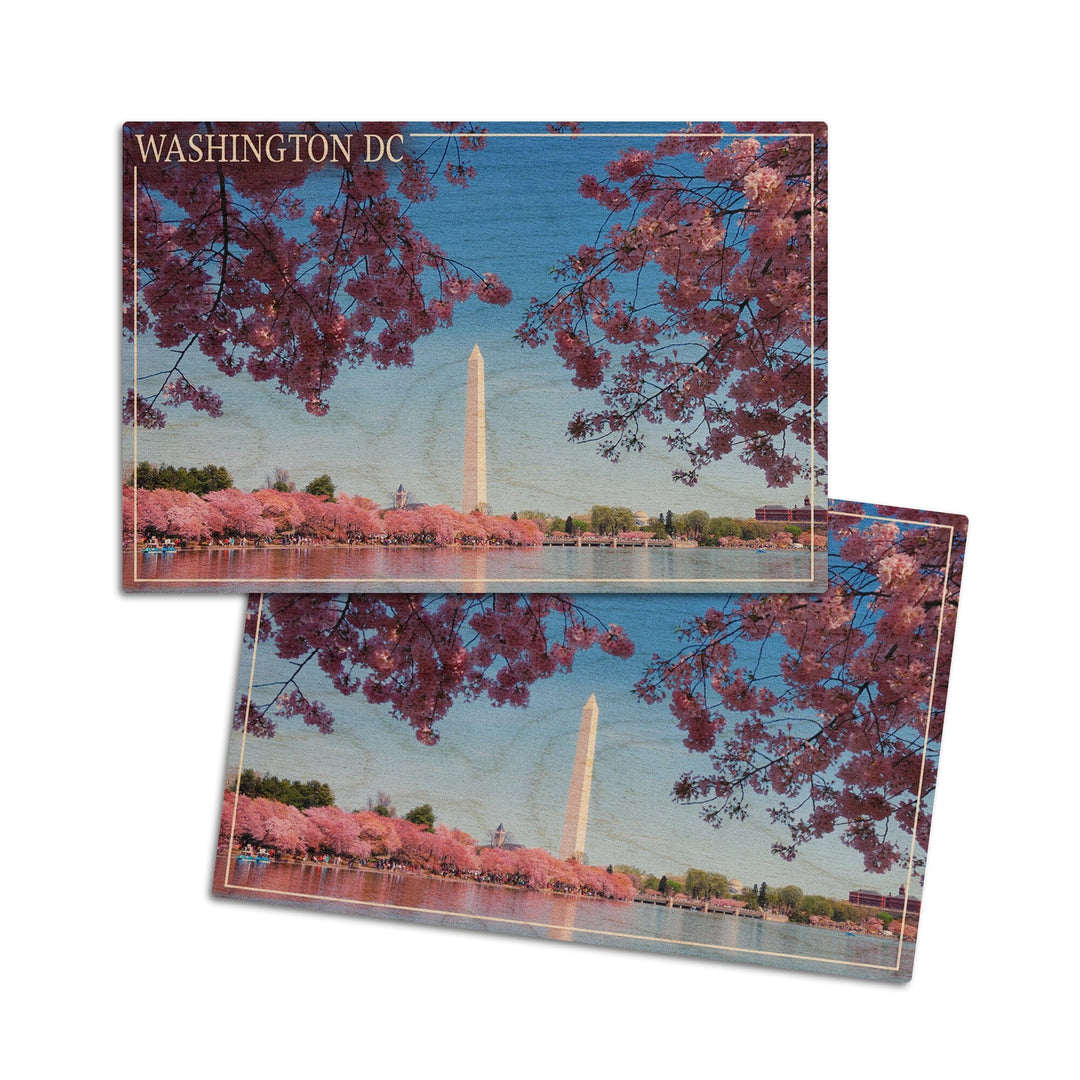 Washington Monument & Cherry Blossoms, Washington DC, Lantern Press Photography, Wood Signs and Postcards Wood Lantern Press 4x6 Wood Postcard Set 