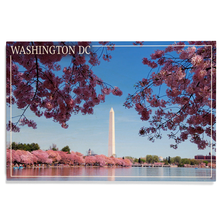 Washington Monument & Cherry Blossoms, Washington DC, Lantern Press Photography, Wood Signs and Postcards Wood Lantern Press 