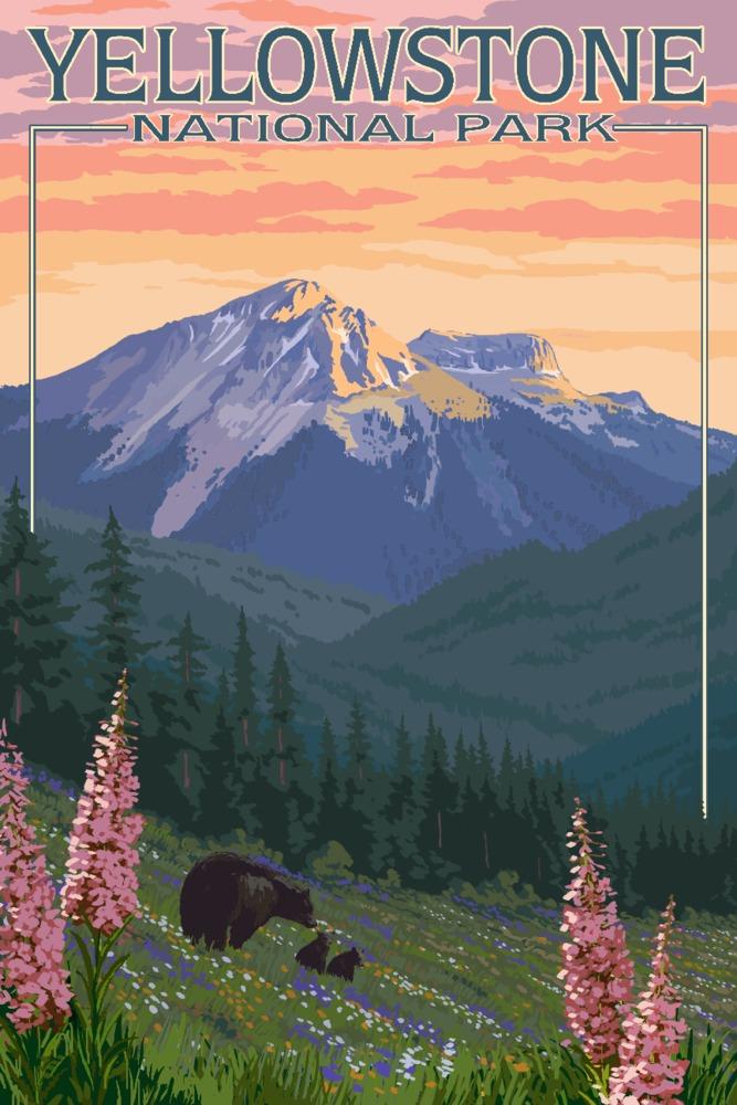 Yellowstone National Park, Bear & Spring Flowers, Lantern Press Artwork, Art Prints and Metal Signs Art Lantern Press 12 x 18 Art Print 