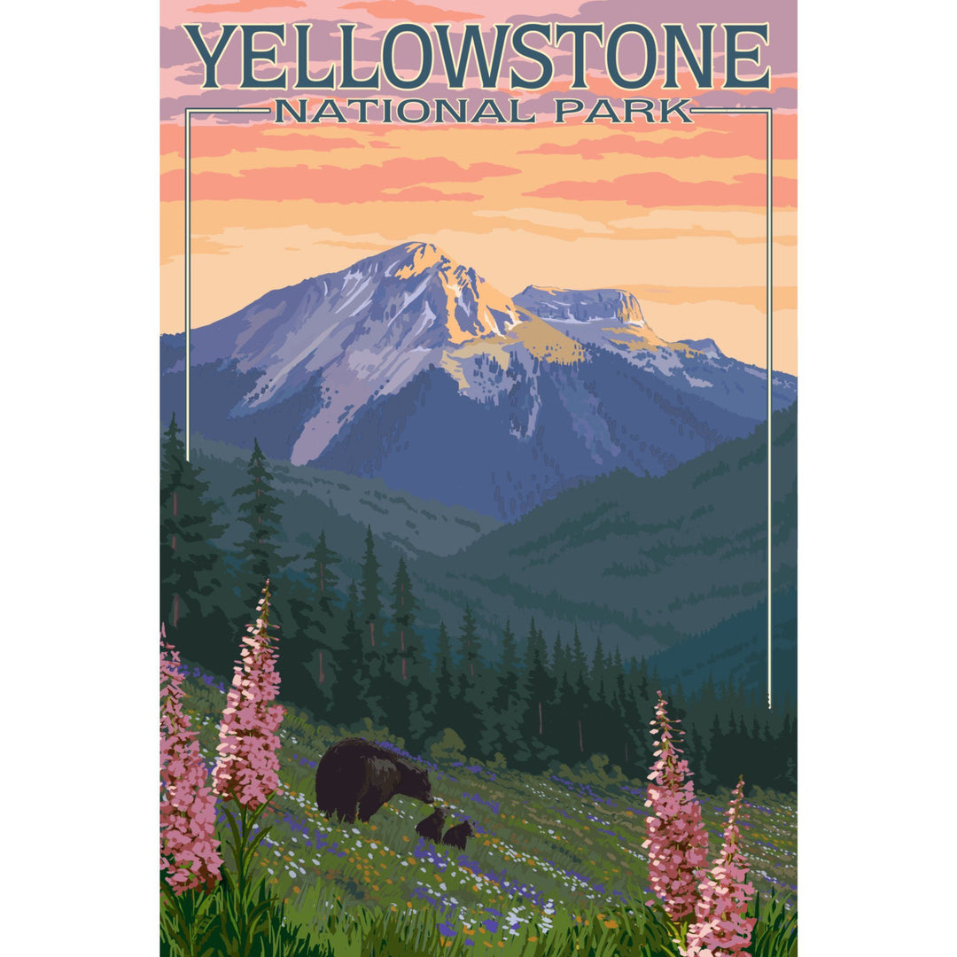 Yellowstone National Park, Bear & Spring Flowers, Lantern Press Artwork, Stretched Canvas Canvas Lantern Press 
